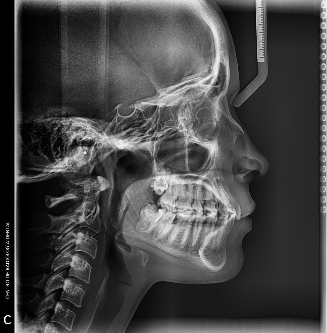 El Aliado Estratégico de tu Práctica Dental